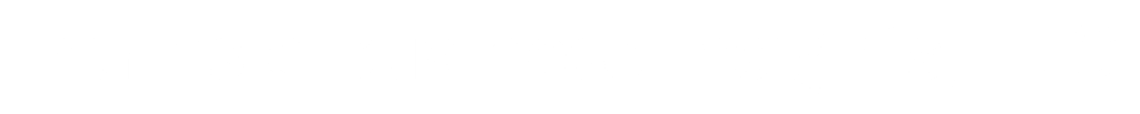 Praxis Business Insights, LLC