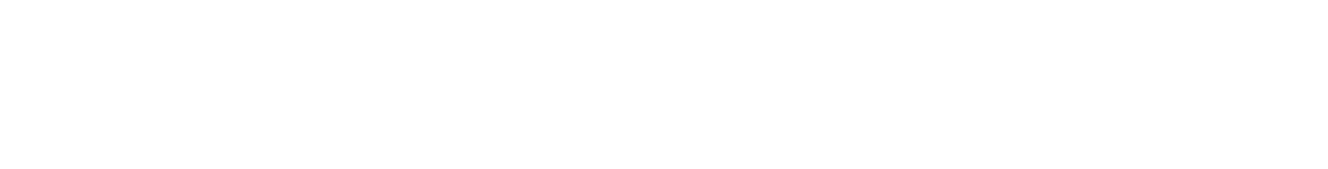 Intrinsic Business Insights, LLC